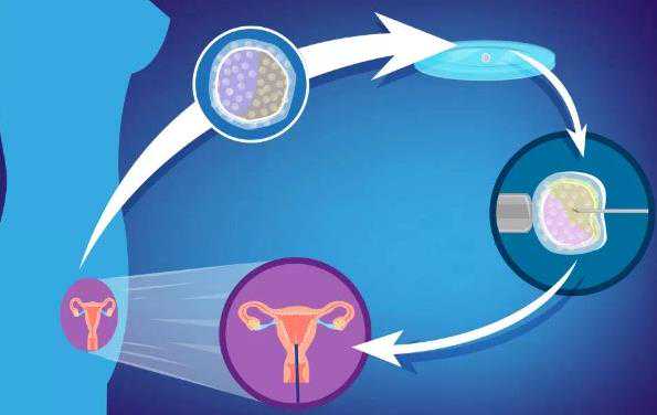 重庆生殖可以供卵吗 2024重庆供卵助孕机构排名全新发布 ‘怀孕14周男孩的彩超