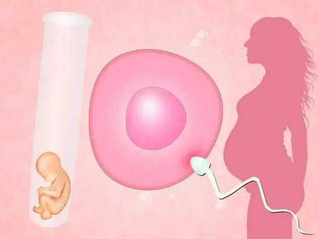 温州供卵代生流程 2024年单身女性在温州
